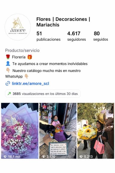 Evidencia de resultados digitales del caso Amore